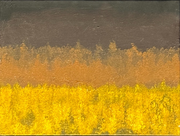 Field in Late Glow — artwork by David Thomas Hardy