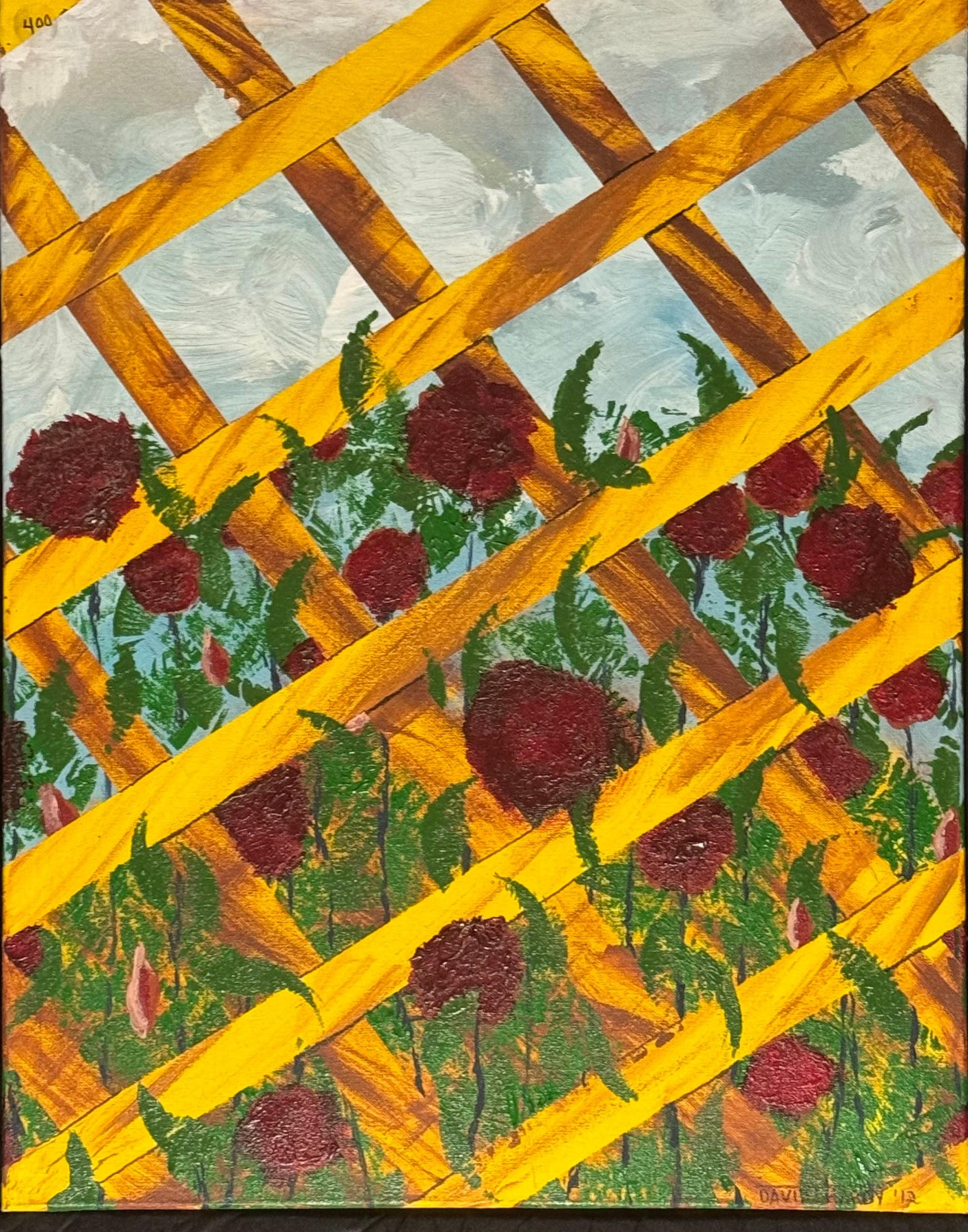 Roses Through the Fence — artwork by David Thomas Hardy