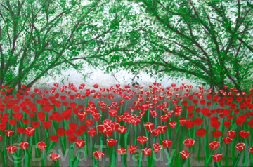Tulip Fields 36w x 24h